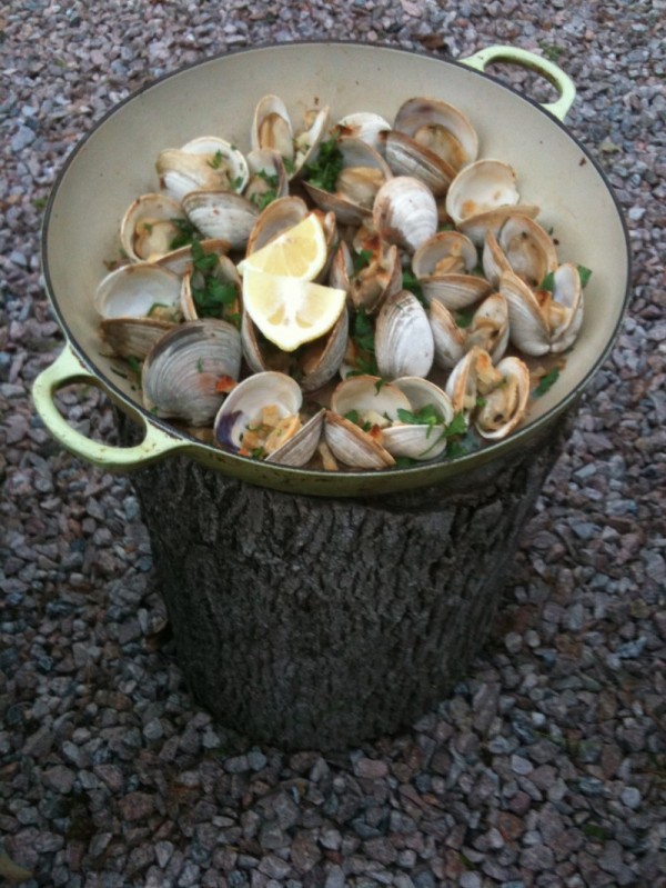 Rhode Island clams